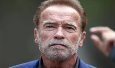 Arnold Şvartseneggerə “uçan təpik” atdılar - Anbaan VİDEO