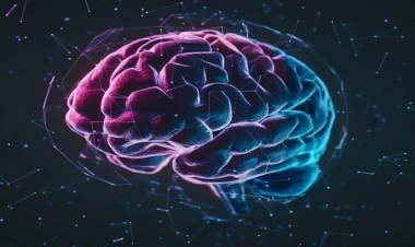 Siçanlar üzərində test edildi, indi də insanlarda yoxlayacaqlar - Alimlər görün nə tapdı