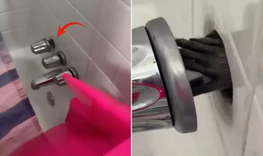 Otelin hamamında dəhşət dolu anlar - Tüklü canlı nədir? - VİDEO