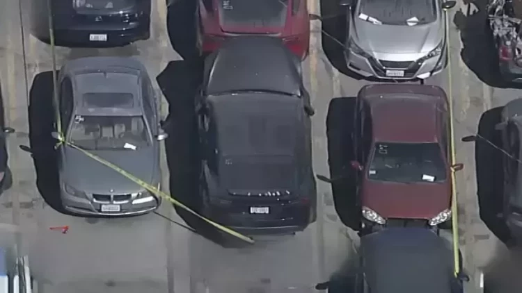 Müğənninin maşınından parçalanmış cəsəd tapıldı - FOTO