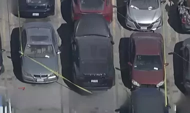 Müğənninin maşınından parçalanmış cəsəd tapıldı - FOTO