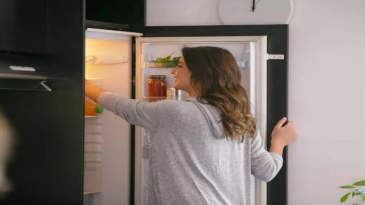 Soyuducunuz çox enerji sərf edir? - Çarəsi çox sadədir