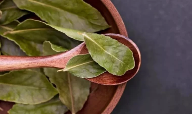 Niyə şəkər qabına dəfnə yarpağı qoyurlar: bunu bütün sovet evdar qadınları edirdi