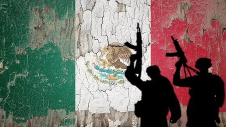 Dövlət oğurlanır: kartel federasiyasından canlı reportaj