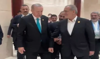 Ərdoğan əlini buraxmadı, Pezeşkian isə farsca... - Video