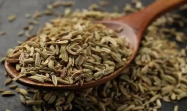 Dünyanın ən sağlam qidası elan edildi