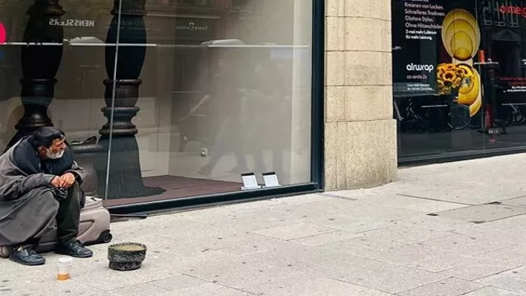 Bu şəhərdə heyvanlar insanlardan  yaxşı yaşayır...