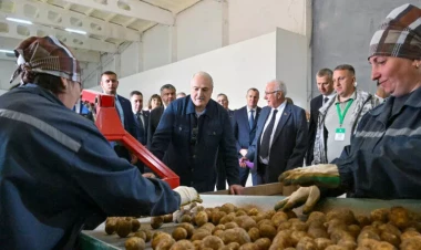 Lukaşenko dünya liderlərinə kartof hədiyyə edəcək