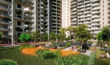 Günün gündüz vaxtı binanın həyətində BİABIRÇILIQ: qonşular ifşa etdi - VİDEO