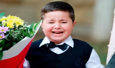 Uşaqlarda məktəbə sevgi necə formalaşdırılır? – Mütəxəssislərdən tövsiyə