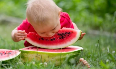 Qarpızı necə düzgün saxlamaq olar?