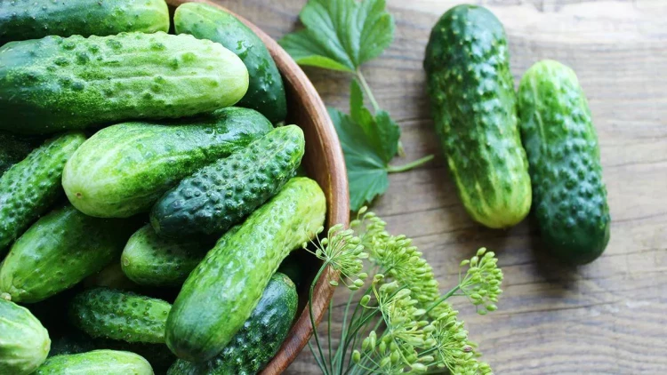 Xiyarın acı dadının səbəbi nədir?