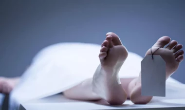 Cəlilabadda 62 yaşlı qadının qətli mülk üstündə olub - TƏFƏRRÜAT - YENİLƏNİB