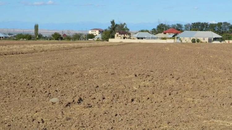 Xocalıya köçənlərə 5 hektar torpaq veriləcək - DETALLAR