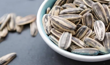 Paketli günəbaxan tumları almayın - Sonsuzluq yarada bilər