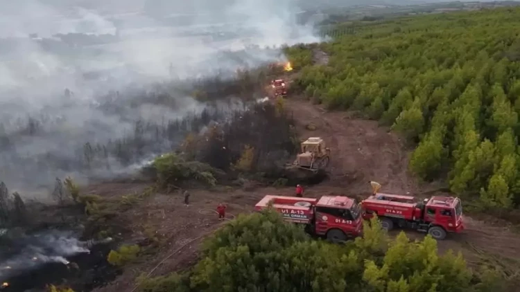 Türkiyədə meşə yanğınını söndürməyə gedən şəxs həlak oldu