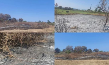 Lənkəranda yanğın törədən şəxs saxlanılıb