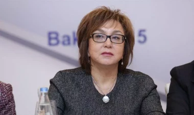 15 ixtisas seçmək mümkündür, lakin... - DİM sədri