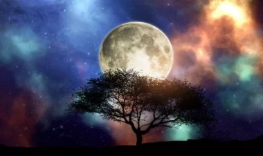 Avqustun 9-da baş tutacaq Ayın dolması bu bürclərin həyatını dəyişəcək