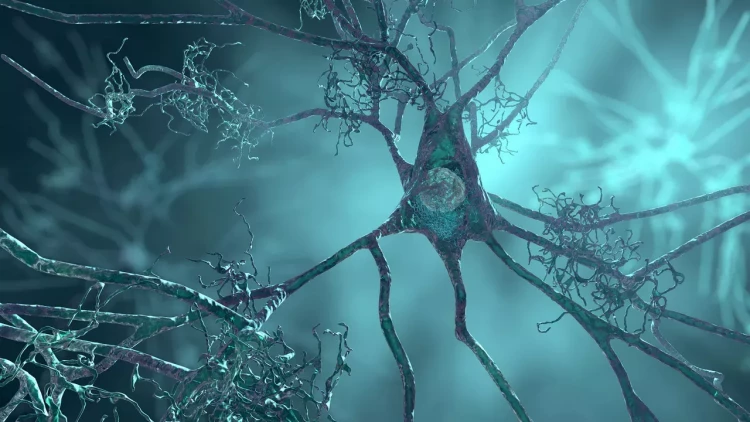 Ölümcül beyin xəstəliklərinə qarşı yeni ümid! - Bu kəşf körpələrin həyatını qurtara bilər!