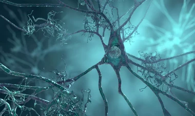 Ölümcül beyin xəstəliklərinə qarşı yeni ümid! - Bu kəşf körpələrin həyatını qurtara bilər!