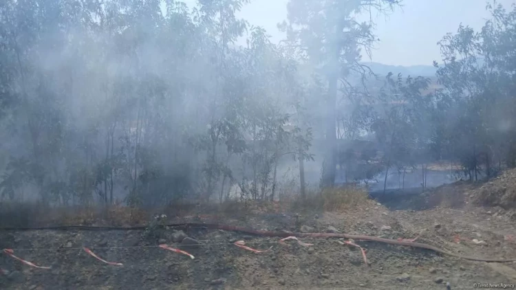 Xocalıda yanğın baş verib - FOTO