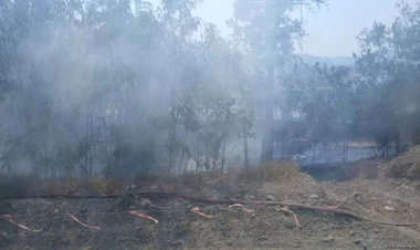 Xocalıda yanğın baş verib - FOTO