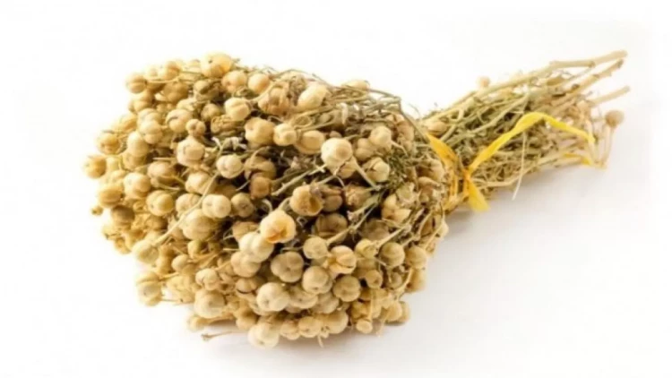 Nazirlikdən üzərliklə bağlı XƏBƏRDARLIQ