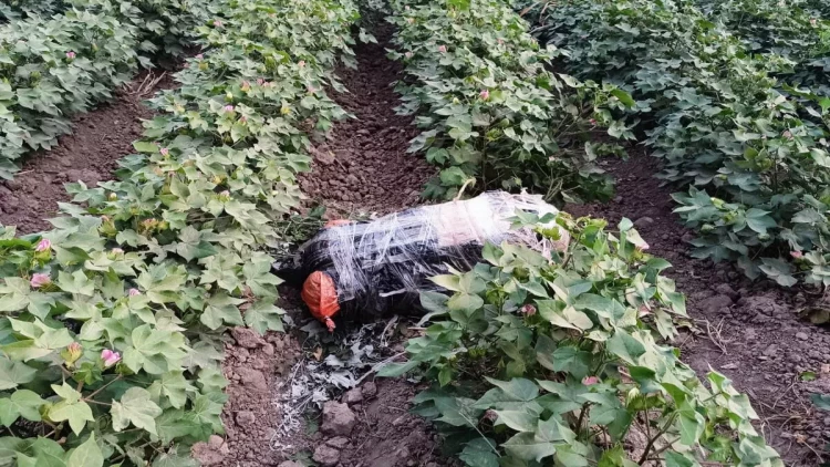 İrandan PUA ilə Azərbaycana narkotik keçirilməsinin qarşısı alınıb - FOTO