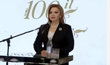 Səs yazısı yayılan direktora - Töhmət verildi