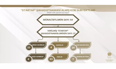 2025-ci ildə “Startap” şəhadətnaməsi almış KOB subyektlərinin əksəriyyəti mikro sahibkarlardır