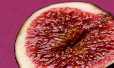 Bu qida mədənin dostutur