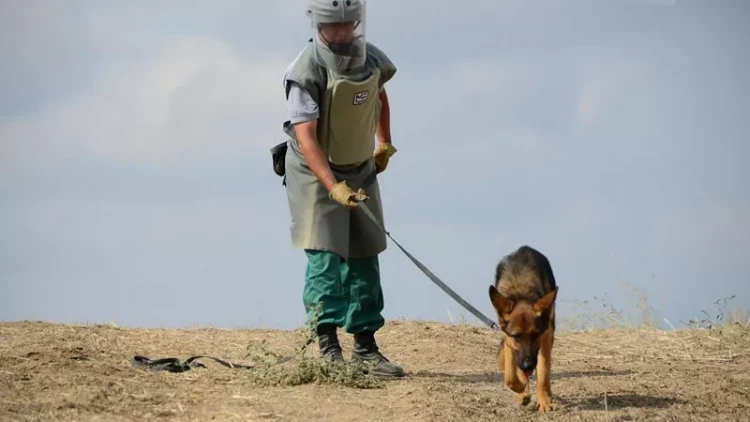 Minalardan nə vaxt tamamilə azad olacağıq? - Gözlənilən tarix