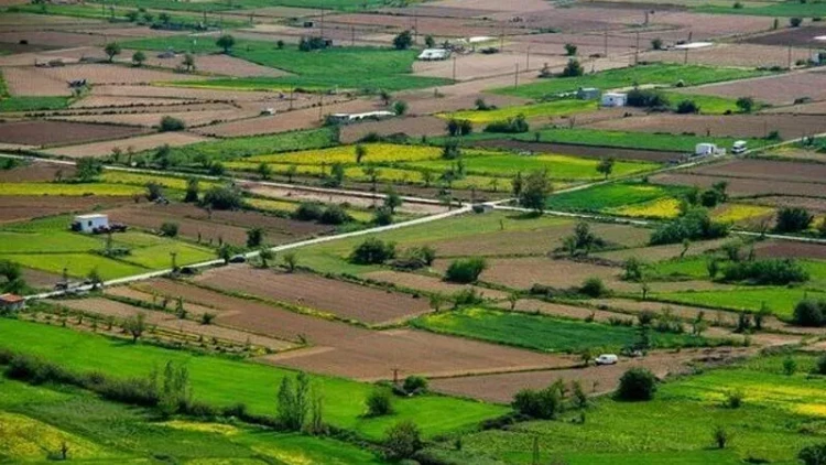 Bakıda torpaq iyunda kəskin bahalaşıb