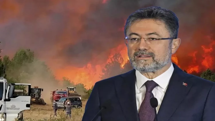 10 meşə işçisinin həlak olduğu yanğın nəzarətə götürüldü