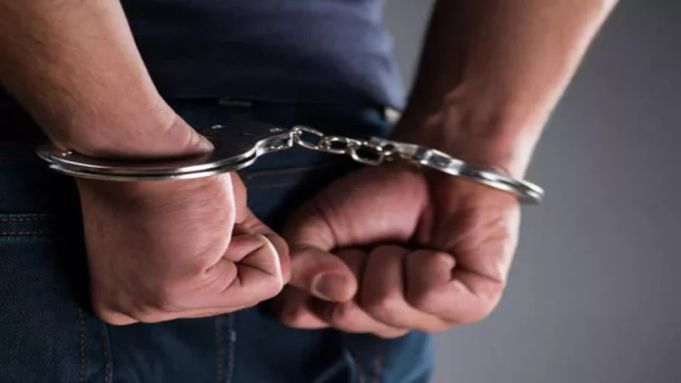 Lerikdə yanğına səbəb olan şəxslər saxlanıldı