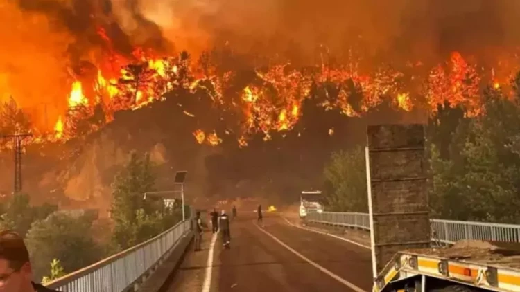 Türkiyənin Eskişehir vilayətindəki meşə yanğını - 11 nəfər öldü - VİDEO