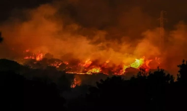 61 meşə yanğını ilə bağlı 4 nəfər həbs edildi