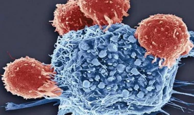 Azərbaycanda xərçəng əleyhinə peyvənd tətbiq olunacaq? - VİDEO