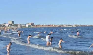 Mahirə Əmirhüseynova Şıx çimərliyində bu canlı ilə üz-üzə qaldı, dəhşət yaşadı - FOTO
