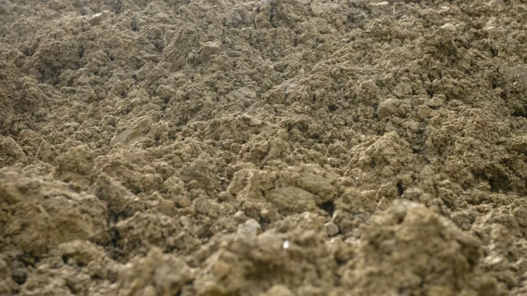 Torpaq sahələri ilə bağlı vacib YENİLİK