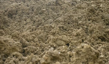 Torpaq sahələri ilə bağlı vacib YENİLİK