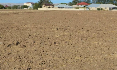 Torpaq sahiblərinin diqqətinə: Yenilik tətbiq ediləcək - VİDEO