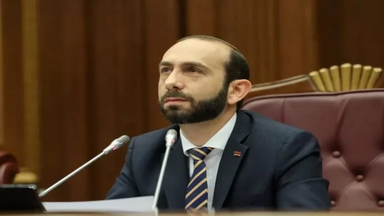 Mirzoyan gəlirlərini açıqladı