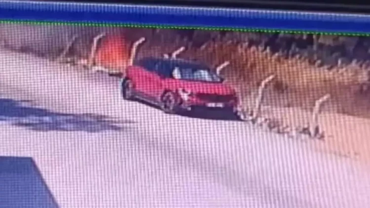 Türkiyədəki meşə yanğını belə başlayıbmış - VİDEO