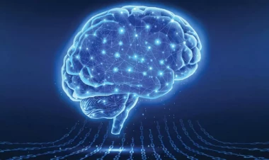 İnsan beyni mühitdə hərəkəti süni intellektdən daha yaxşı qavrayır - TƏDQİQAT