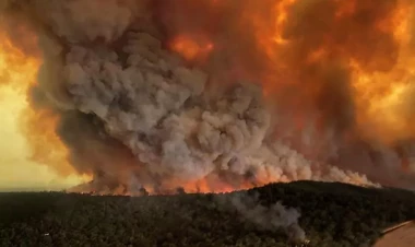 İzmirdə meşə yanğını hələ də davam edir