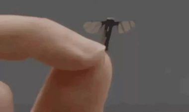 Çində ağcaqanad ölçüsündə mini PUA hazırlanıb - VİDEO