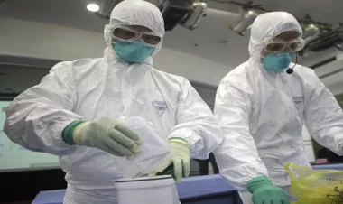 Çində iki yeni ölümcül virus aşkarlandı