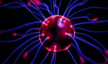 Alkoqol istəyini əngəlləyən beyin hüceyrələri tapıldı